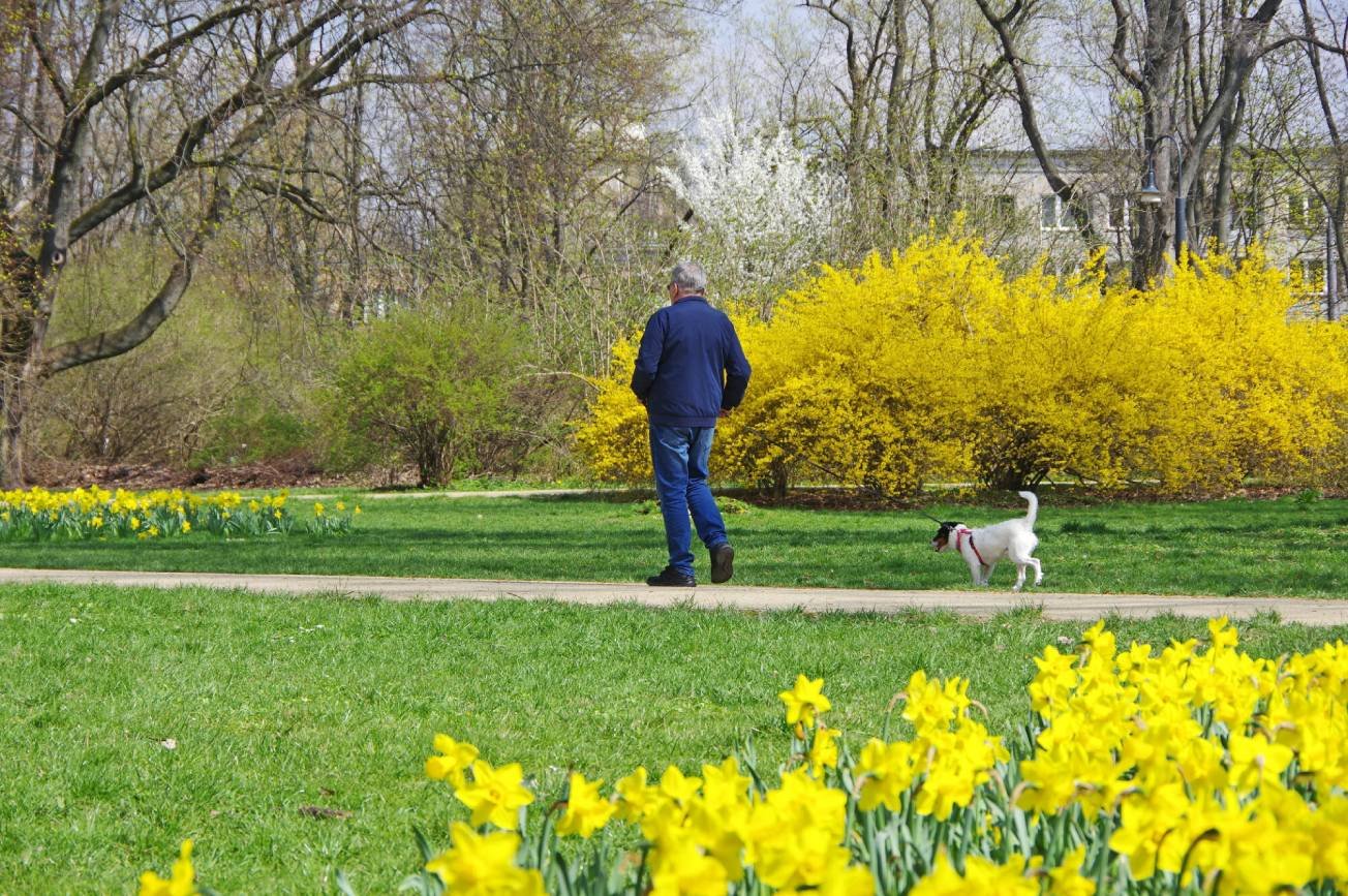 Pogoda na maj – będzie ciepło, ale pojawi się jeden problem