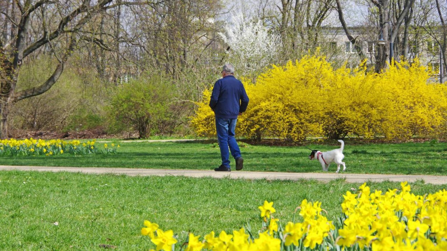 Pogoda na maj – będzie ciepło, ale pojawi się jeden problem