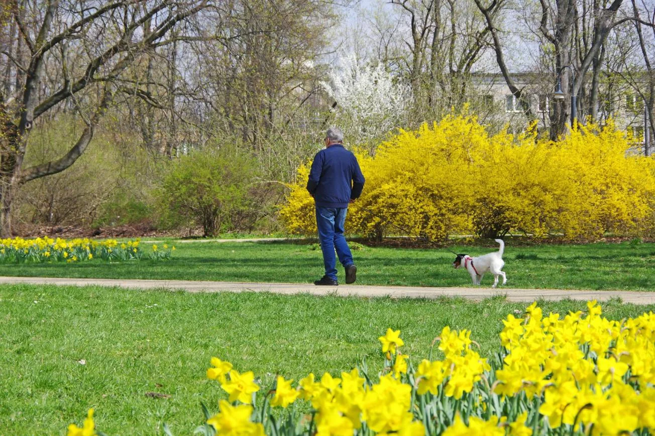 Pogoda na maj – będzie ciepło, ale pojawi się jeden problem