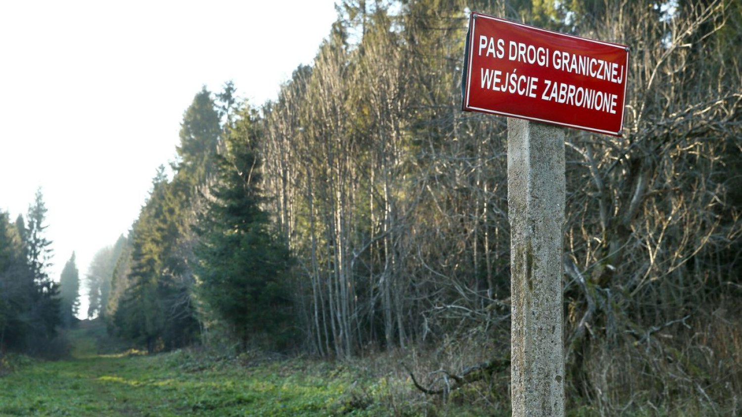 Straż Graniczna przyłapała turystów na gorącym uczynku. Słono zapłacą za zdjęcia