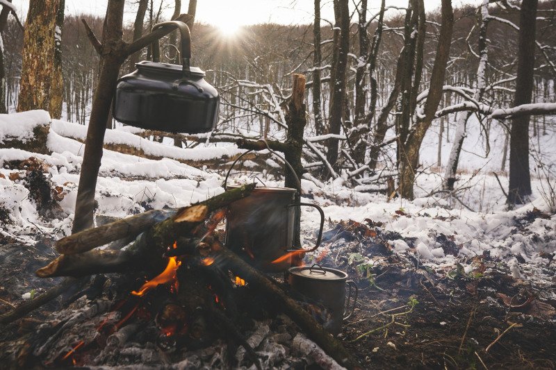 Co powinien jeść prawdziwy mors?