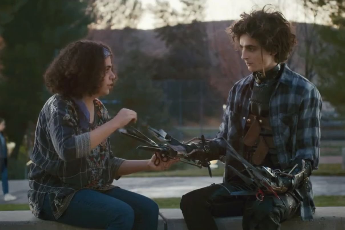 Timothée Chalamet jako Edgar Nożycoręki