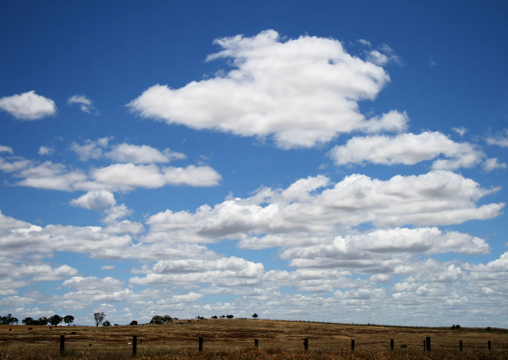 Cumulus