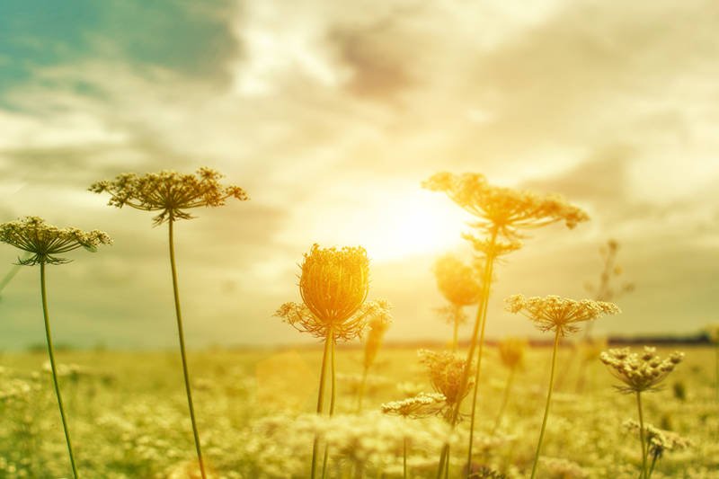 Same kosmetyki naturalne nie uchronią nas przed substancjami chemicznymi. Ale mogą być dobrym pretekstem do zmiany codziennych nawyków i ograniczenie sztuczności w naszym otoczeniu