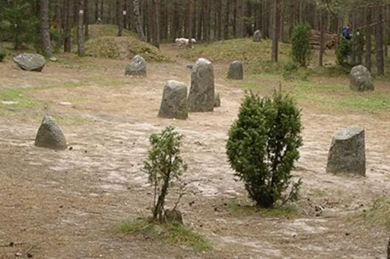 Jeden z kręgów kamiennych w Węsiorach na Pomorzu.