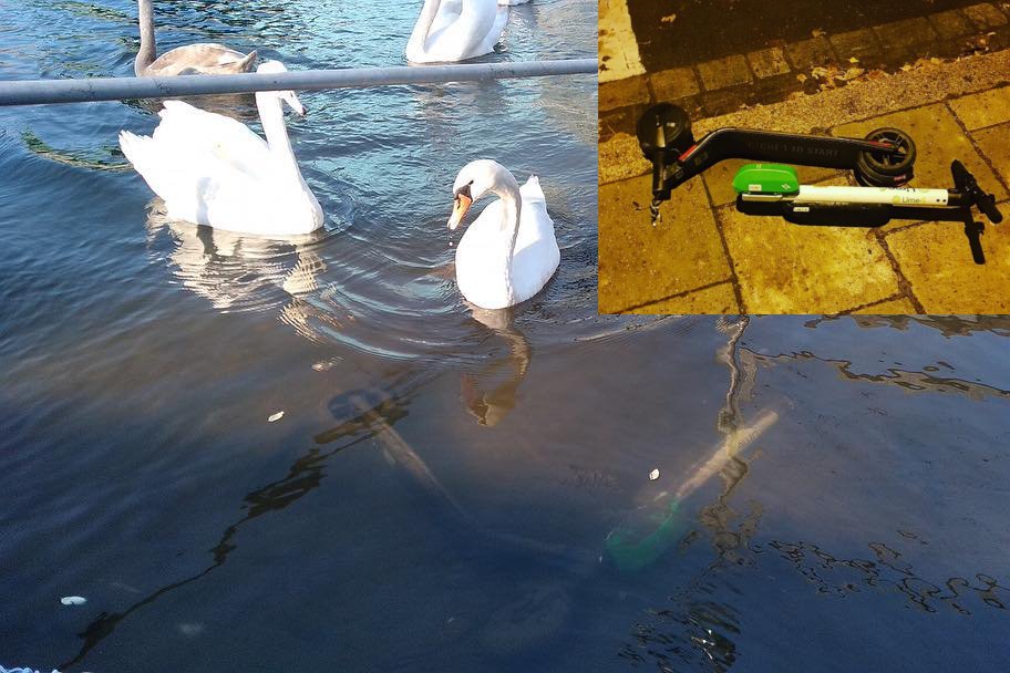 Powstał nawet specjalny profil dokumentujący zniszczone hulajnogi Lime