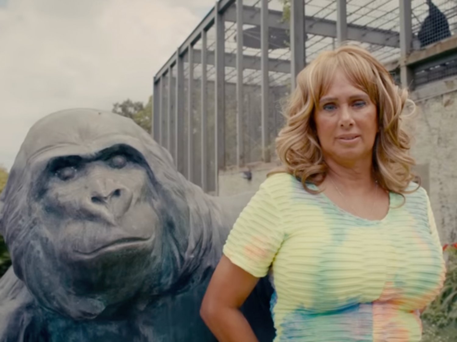 Kadr z filmu "Szympans, moja miłość"