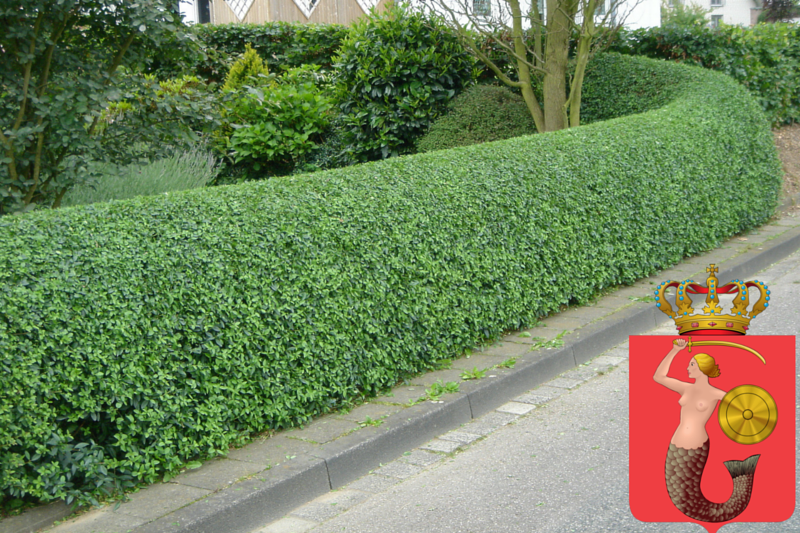 Jeden z projektów zgłoszony do budżetu partycypacyjnego przez stowarzyszenie Warszawa Obywatelska zakłada zastąpienie słupków żywopłotami.