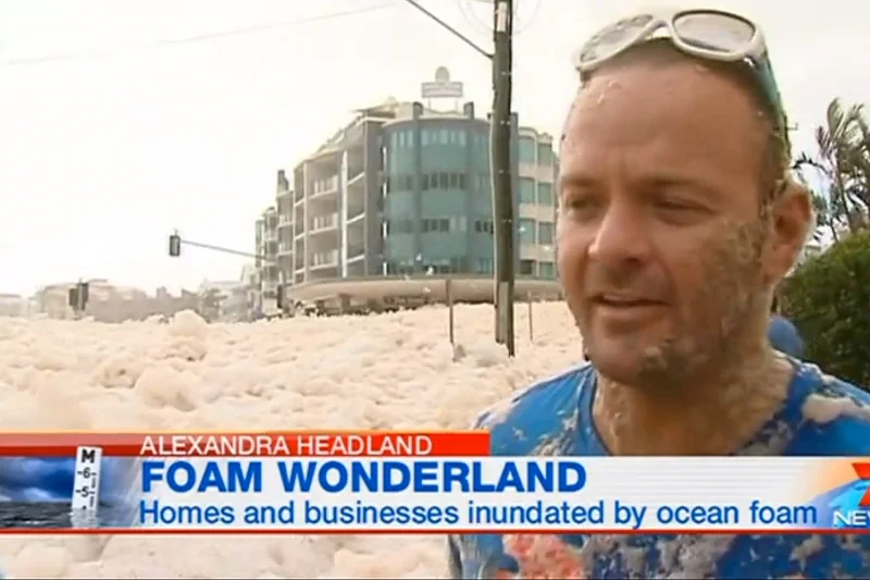 Część mieszkańców Queensland jest zachwyconych "pianowym rajem"