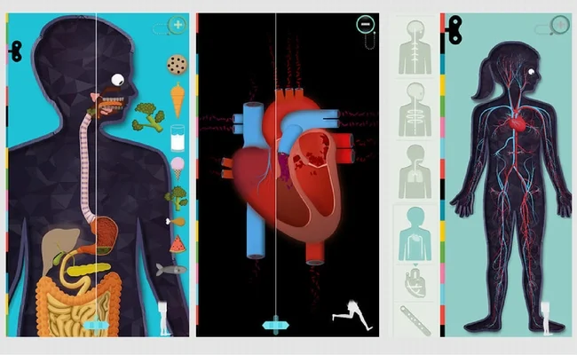 Aplikacja dostępna w App Store, The Human Body by Tinybop