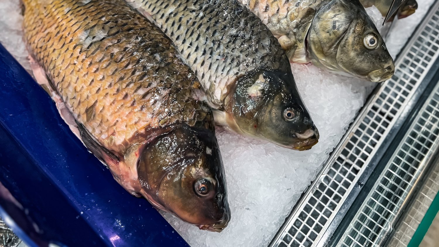 Najlepsze promocje na karpie w marketach. Już choćby dorzucają go za darmo