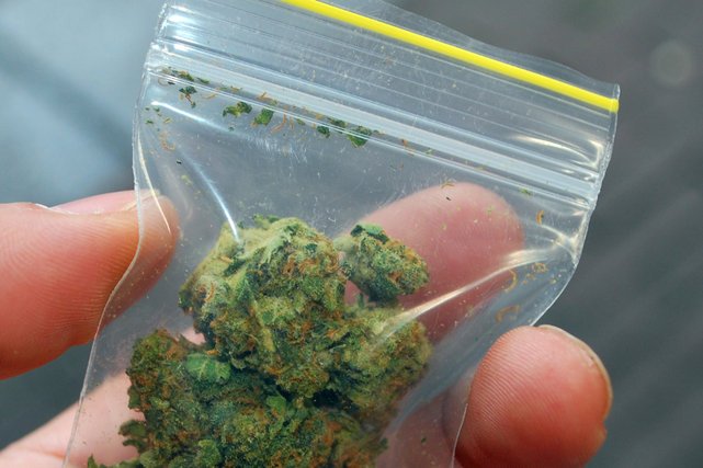 Marihuana dostępna dla 10 tys. ochotników przez 10 lat? Poznański instytut badawczy chce przeprowadzić eksperyment.