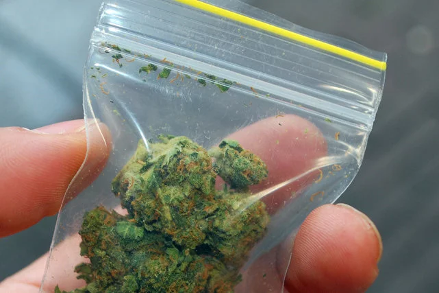 Marihuana dostępna dla 10 tys. ochotników przez 10 lat? Poznański instytut badawczy chce przeprowadzić eksperyment.