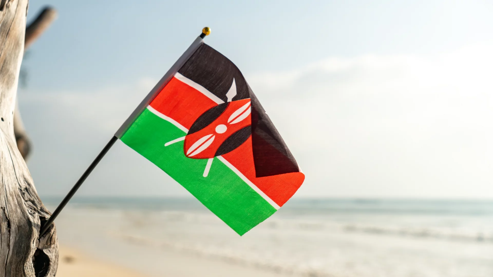 Tragiczny finał wakacji w Kenii. Nie żyje polska turystka