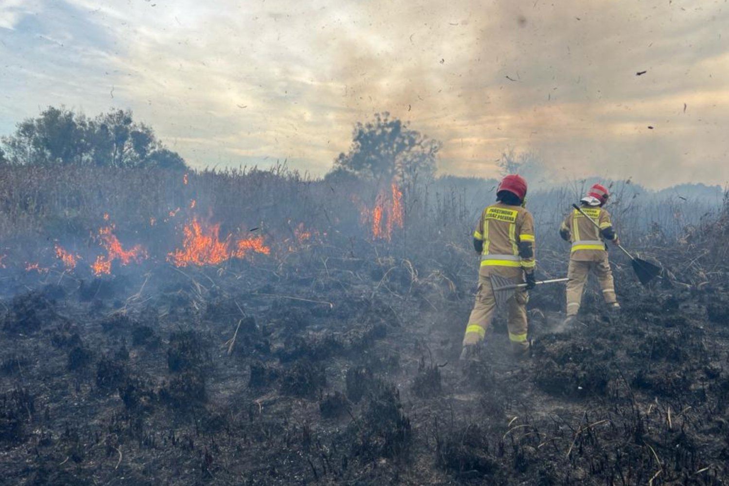 Płonie Biebrzański Park Narodowy. W akcji bierze udział nawet Black Hawk.