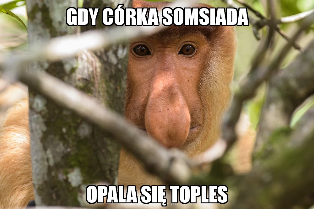 Memy naśladują też błędy językowe niektórych Polaków.