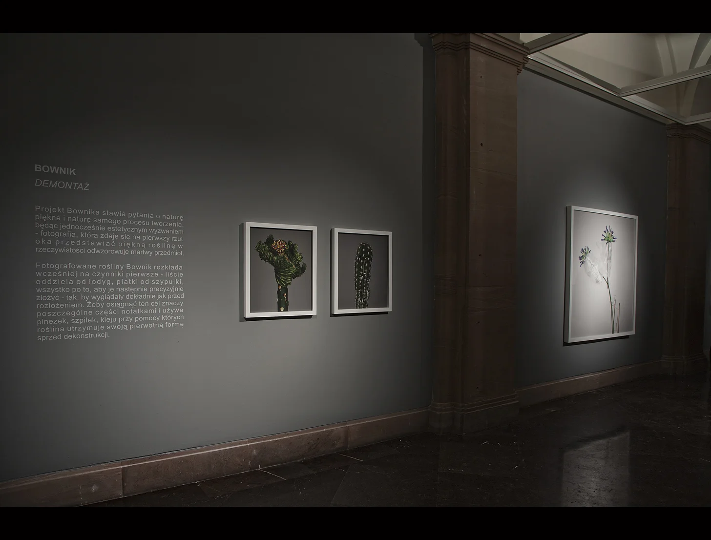 "Demontaż"  Galeria PF / Poznań