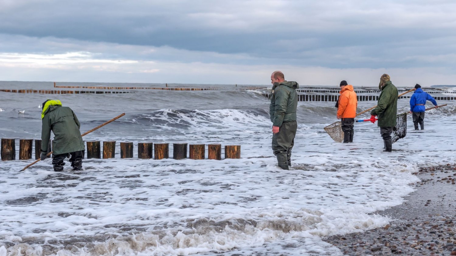 Nocne poszukiwania na Mierzei Wiślanej z latarkami UV Bałtyckie bursztyny znalezione na plaży w środku lata
