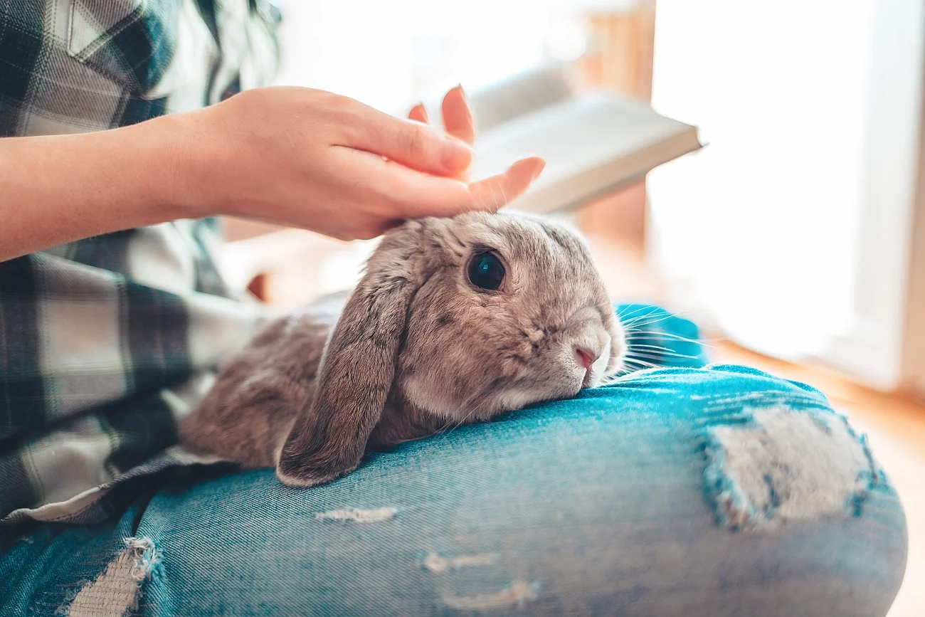 Ruszył kolejny Wielkanocny Kiermasz Książkowy internetowej księgarni Ebookpoint. W tym roku oferta obejmuje aż 43 000 tytułów z rabatami sięgającymi 96 proc. ceny oryginalnej! Towarzyszy jej konkurs, w którym można wygrać czytniki PocketBook