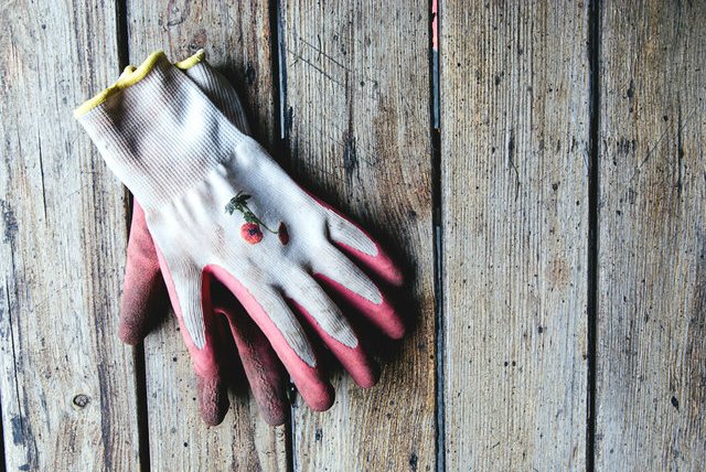 Rozpoczęcie przygody z własnymi uprawami jest banalnie proste, często wystarczy po prostu wyjść z domu.