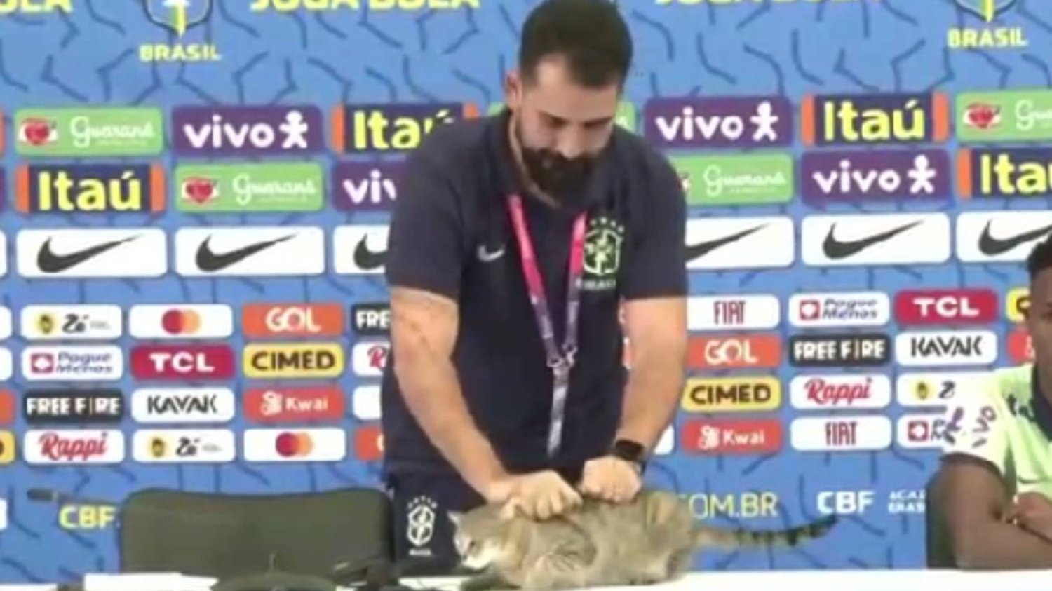 Kot na mundialu przerwał konferencję. Rzecznik zrzucił go ze stołu