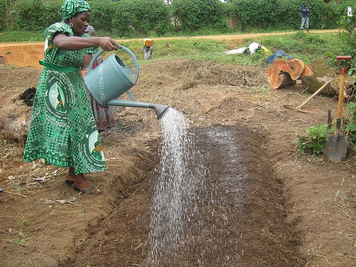 Ndifor Judethaddeus, Kamerun