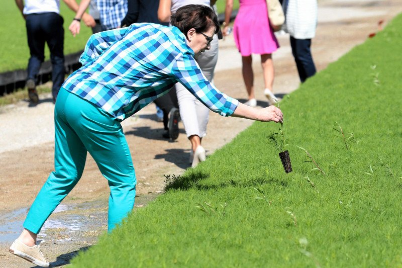 Czy trampki za kilkaset złotych nie przystoją premier Ewie Kopacz?