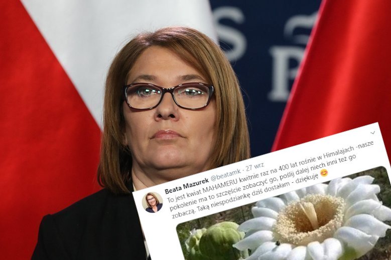 Beata Mazurek dała się nabrać na fałszywy łańcuszek na Twitterze.