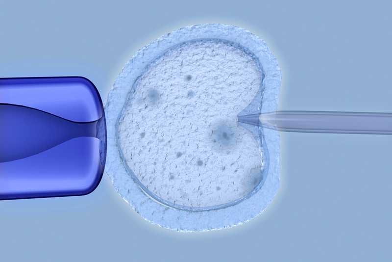 Ostra kłótnia na lewicy. Poszło o wiek kobiet, które miałyby ubiegać się o refundację in vitro