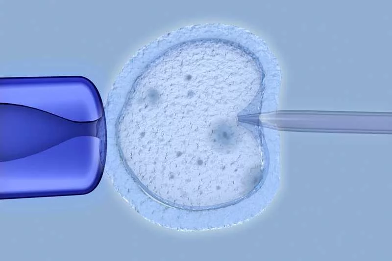 Ostra kłótnia na lewicy. Poszło o wiek kobiet, które miałyby ubiegać się o refundację in vitro