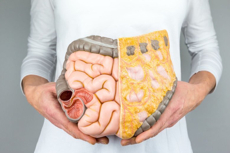 Dobra flora jelitowa pozytywnie wpływa na naszą kondycję psychiczną.