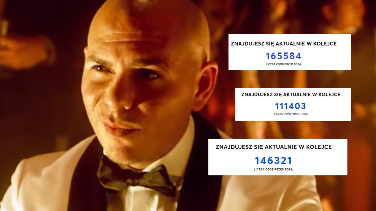 Pitbull w Polsce bilety na koncert Pitbulla w Polsce
