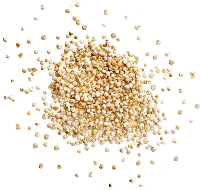 Quinoa, zwana u nas komosą ryżową jest pyszną alernatywą dla kaszy, makaronu czy ryżu.