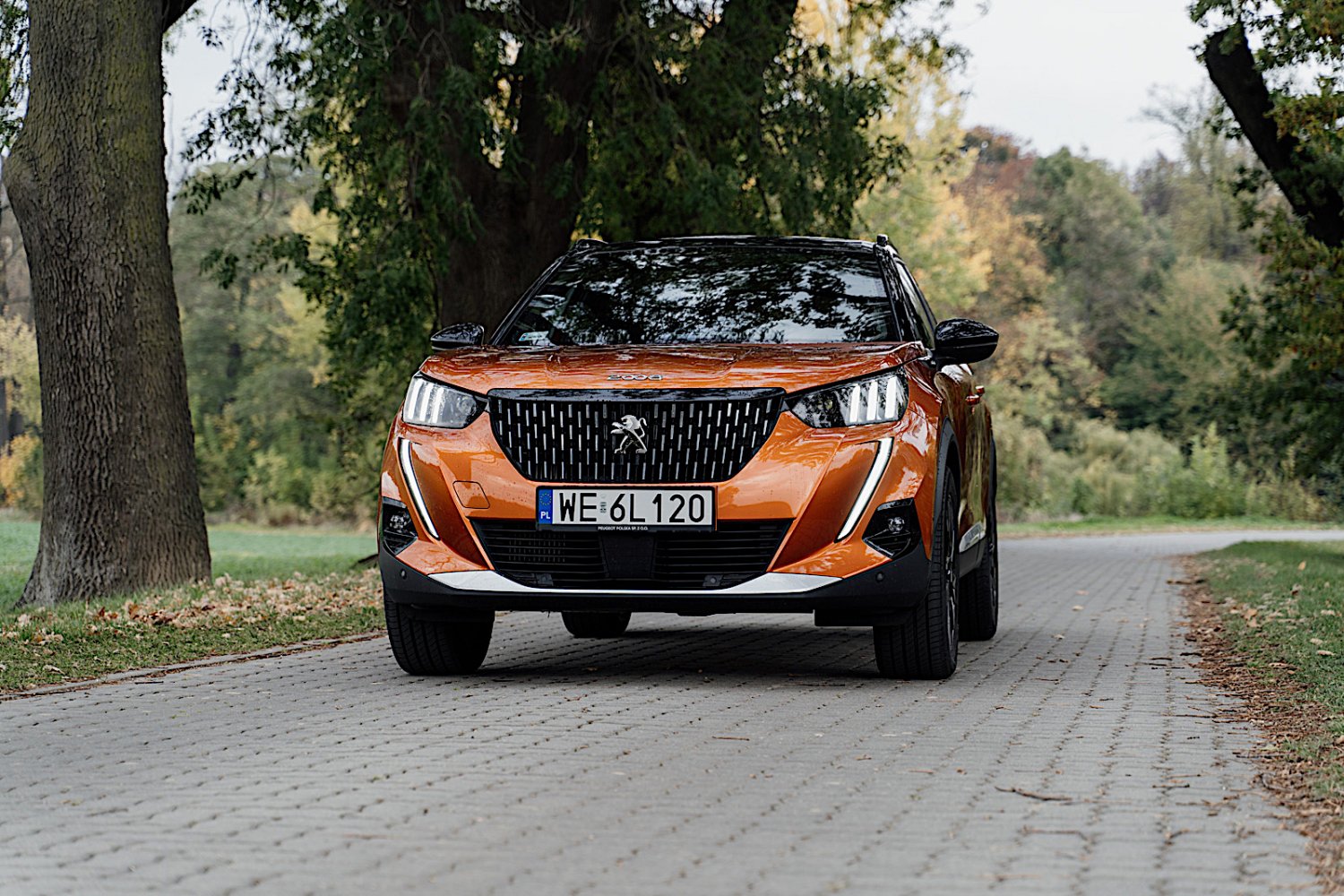 Peugeot 2008 jest bardzo dobrym autem, ale jest się w nim do czego przyczepić.