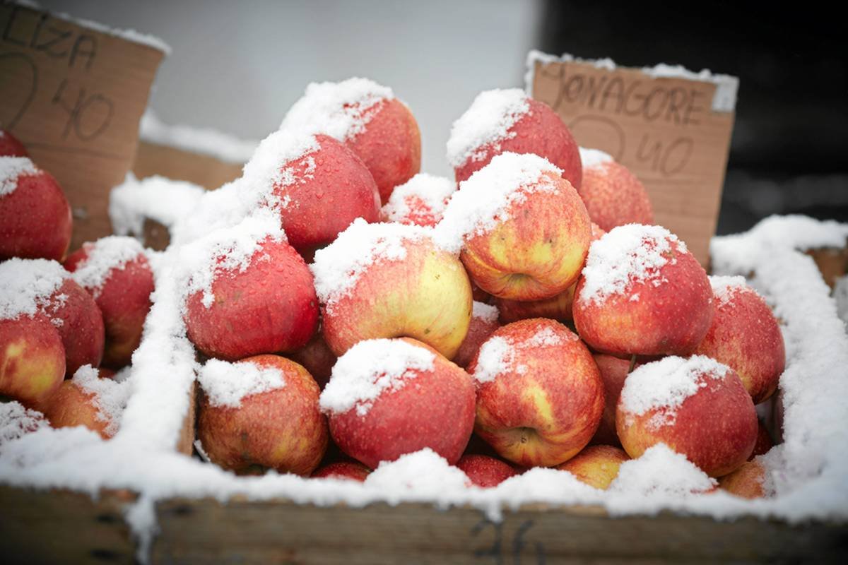 Styczeń 2012, bazar w Łodzi, atak zimy.