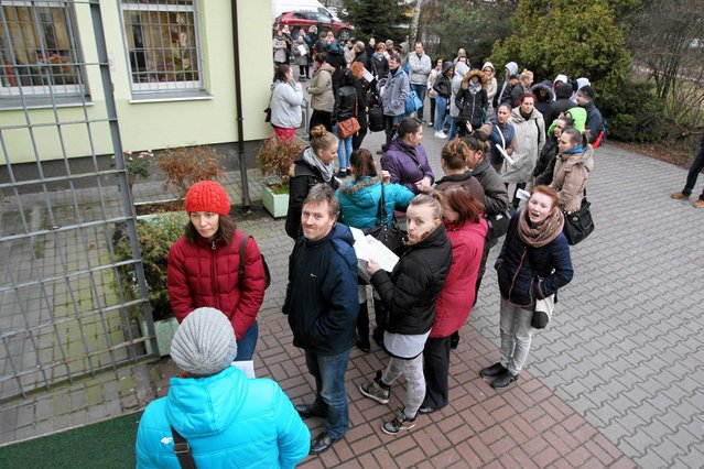 Czy tak będzie przed ośrodkami pomocy społecznej w tym roku, przy okazji odnawiania wniosków o 500+