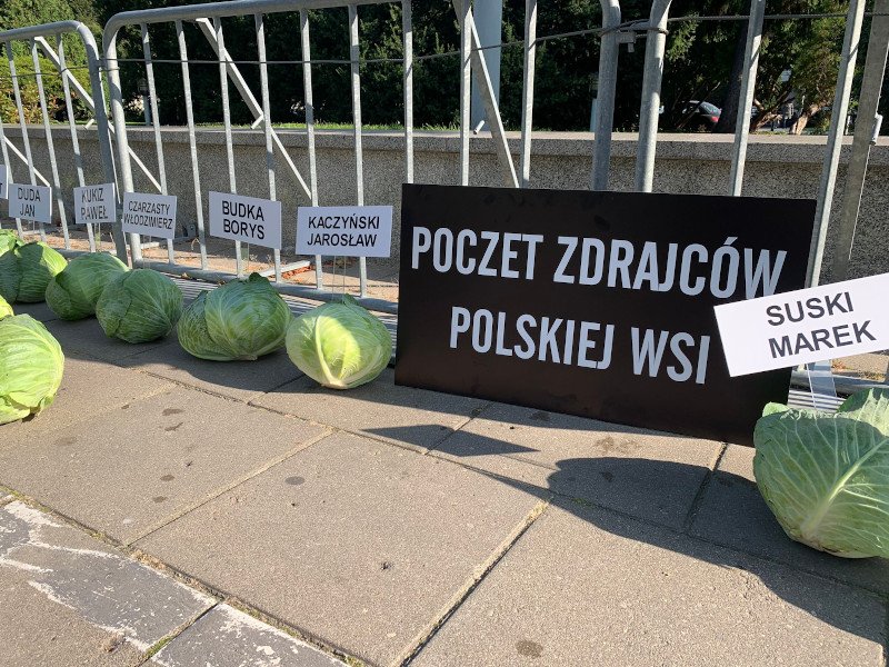 "Piątka dla zwierząt". 352 kapusty pod Sejmem.