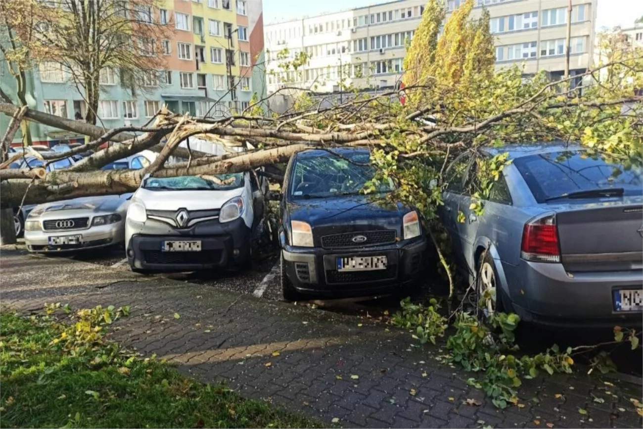 W tym tygodniu pogoda może być niebezpieczna, prawdopodobnie powrócą burze. Zdjęcie poglądowe