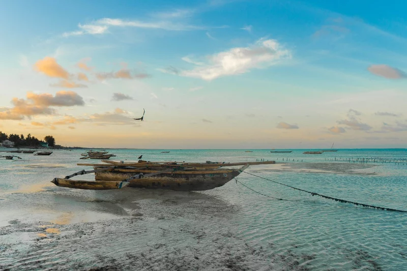 Polacy nie chcą siedzieć w pandemii i "uciekają" na Zanzibar.