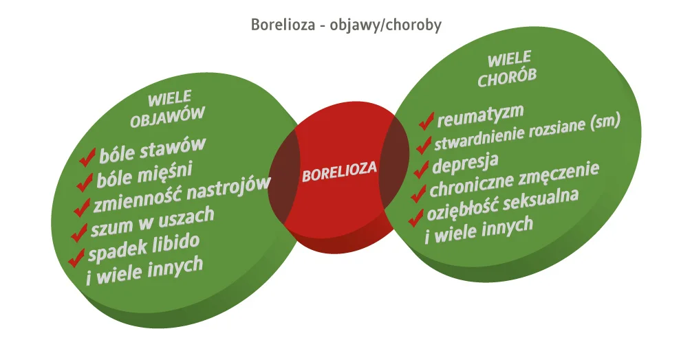 borelioza - objawy i choroby