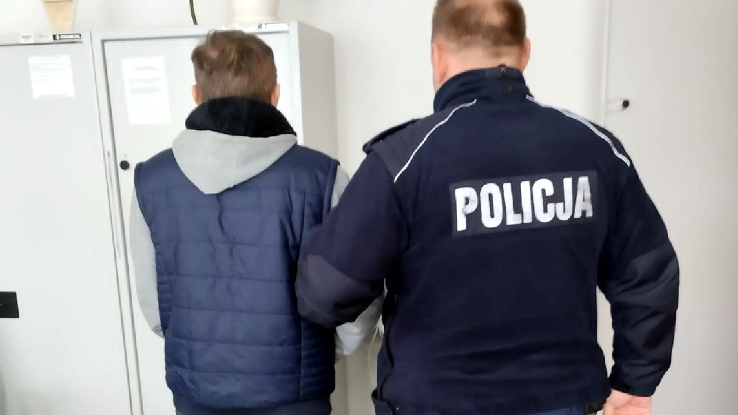 Niebywałe okrucieństwo 58-latka. Spalił kota w piecu, bo ten atakował gołębie.