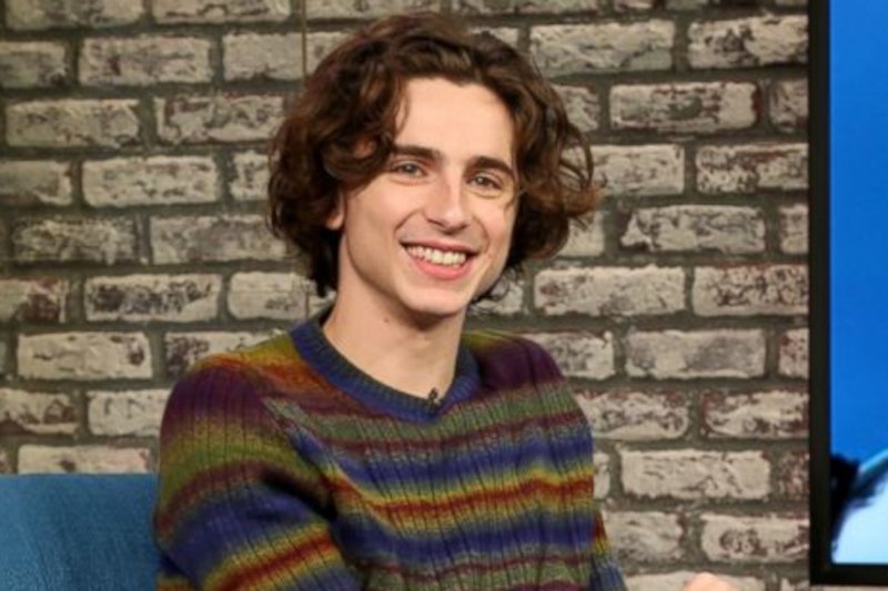 Timothée Chalamet w programie ABC News.