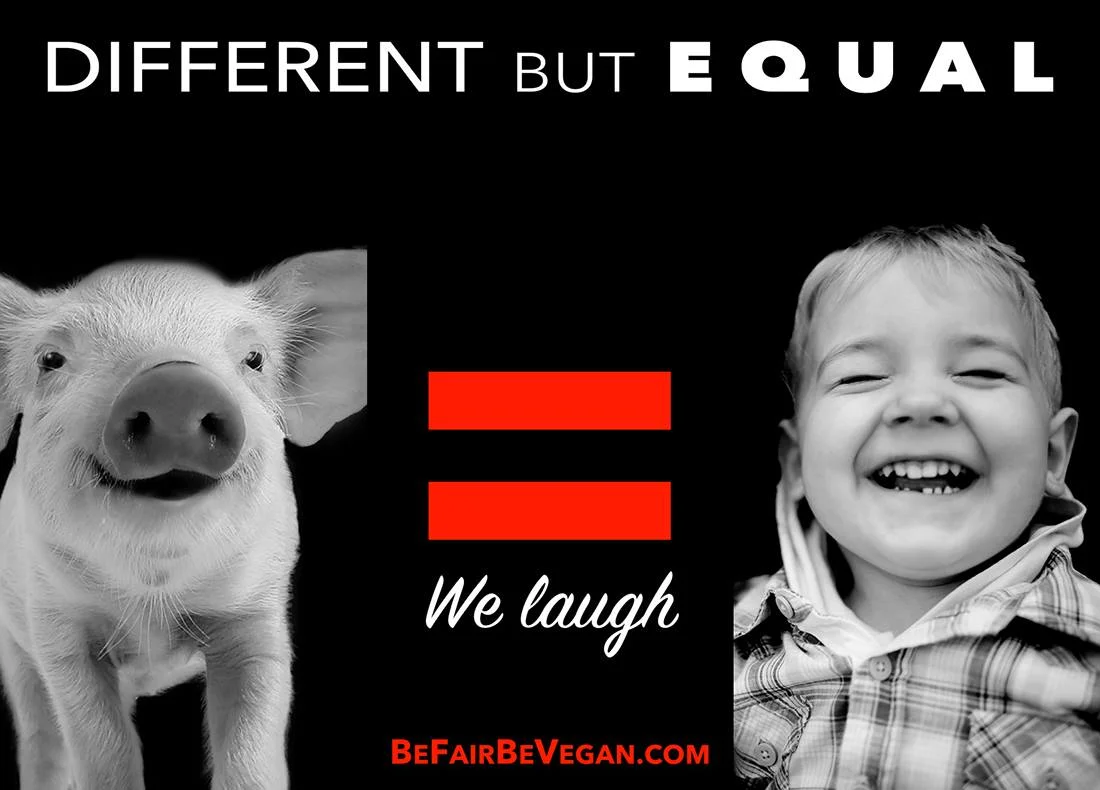 BE FAIR BEVEGAN - wegańska kampania billboardowa na Time Squere.
Inne, a jednak takie same jak my!