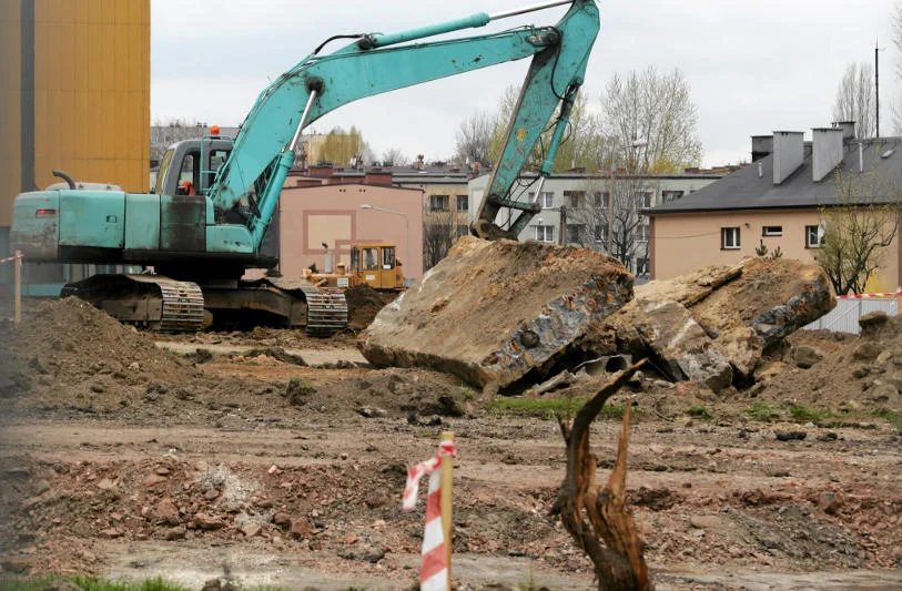 Tak wyglądała akcja niszczenia parku w Rybniku