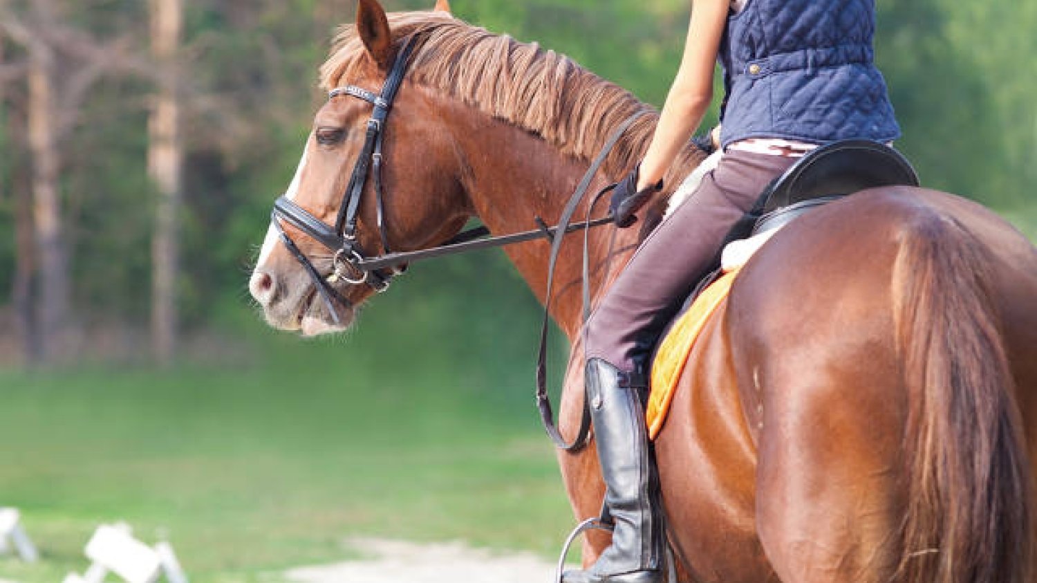 Jazda [url=http://tinyurl.com/q25s2h4] Konna [/url] - hobby które wyjdzie Ci na dobre