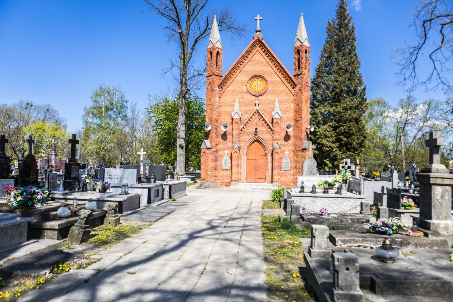 Cmentarz parafialny w Płońsku.
