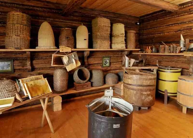 Muzeum pszczelarstwa potrafi zadziwić i zaciekawić.