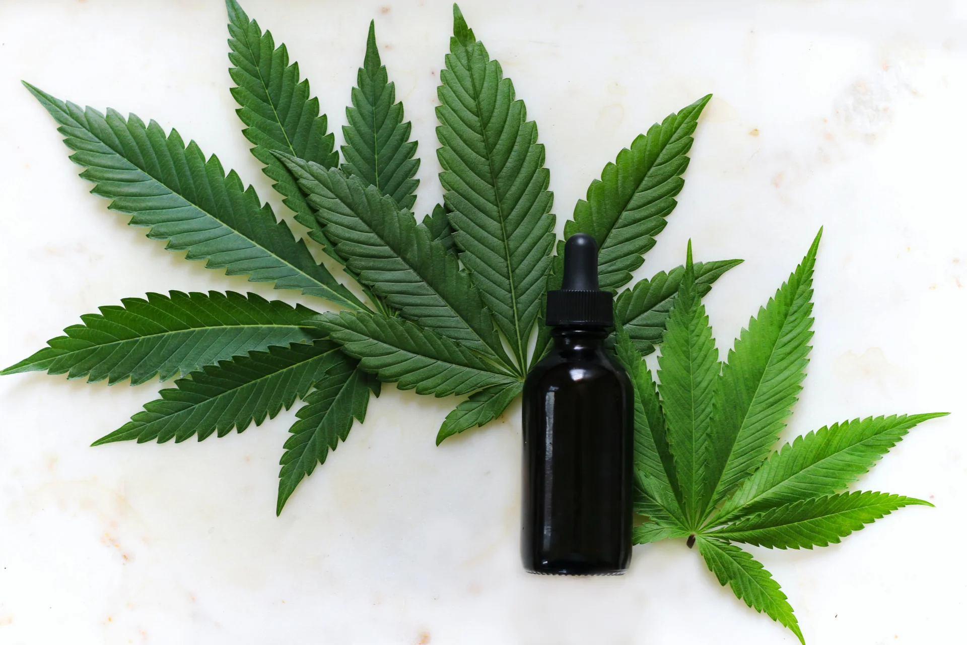 Jak wybrać olejek CBD? Test suchej kropli krwi - badanie stężenia CBD