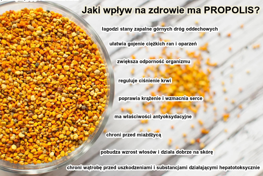 Jakie korzyści zdrowotne może nam dać stosowanie pyłku pszczelego? Jak propolis wpływa na nasz organizm?