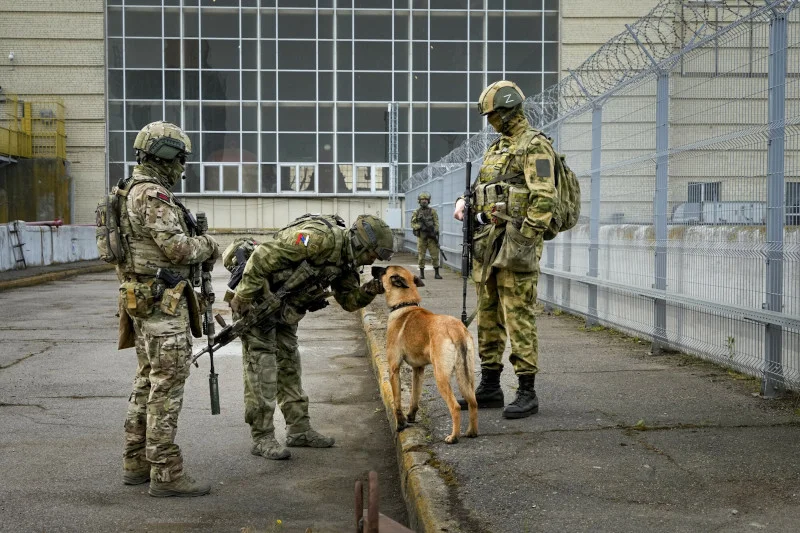 Braki żywności w rosyjskiej armii. Jeden z żołnierzy przyznał, że zjadł psa